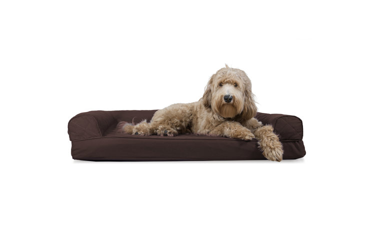 Wayfair large best sale dog beds